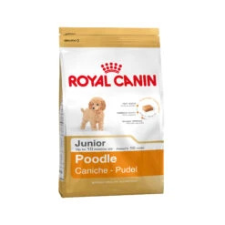 Royal Canin Poodle Puppy - Hondenvoer -Hondenbenodigdheden 436b725a54e04450a152307104fff881d30701f33ef9f6444b37bb1429ece5ba 3 5