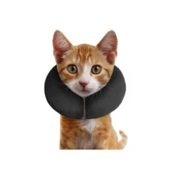 ZenPet Pro Collar 22 ZenPet Pro Collar -Hondenbenodigdheden acf3a53e750af16e02f3b6c4def4cf122f33c26a00c663a14593321940f579ed 3