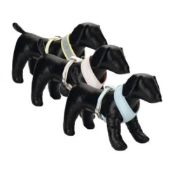 Beeztees Hondentuig -Hondenbenodigdheden beeztees hondentuig 110062 0500 none