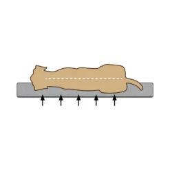 Beeztees Ligbed Yura 11 Beeztees Ligbed Yura -Hondenbenodigdheden bezpkMWiqL3rXJQUZyurY1g4CsoFly metaQmVlenRlZXMtTWVtb3J5LUZvYW0tVW1hLUhvbmRlbm1hbmQtb3J0aG9wZWRpc2NoLTIuanBn