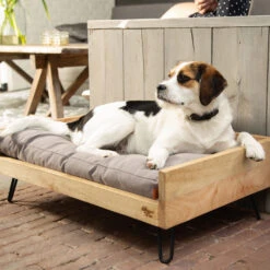 Designed By Lotte Ligmand Turana 8 Designed By Lotte Ligmand Turana -Hondenbenodigdheden designed by lotte ligmand turana 170029 2000 none