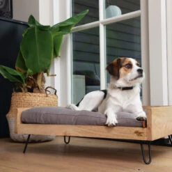 Designed By Lotte Ligmand Turana 9 Designed By Lotte Ligmand Turana -Hondenbenodigdheden designed by lotte ligmand turana 170032 2000 none