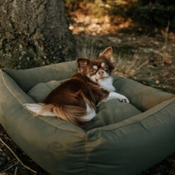 District 70 Lodge Box Bed -Hondenbenodigdheden district 70 lodge box bed hondenmand 190685 2000 none