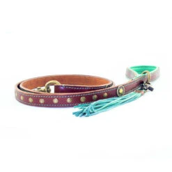 DWAM Hondenriem Joe -Hondenbenodigdheden dwam hondenriem joe 161917 1000 none