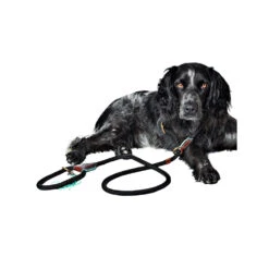 DWAM Hondenriem Long John -Hondenbenodigdheden dwam hondenriem long john 166357 1000 none