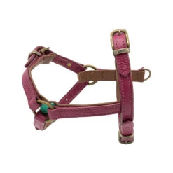 DWAM Hondentuigje Lou Lou -Hondenbenodigdheden dwam hondentuigje lou lou 182155 1000 none