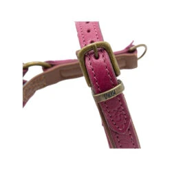 DWAM Hondentuigje Lou Lou -Hondenbenodigdheden dwam hondentuigje lou lou 182158 1000 none