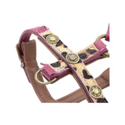 DWAM Hondentuigje Lou Lou -Hondenbenodigdheden dwam hondentuigje lou lou 182161 1000 none