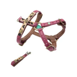 DWAM Hondentuigje Lou Lou -Hondenbenodigdheden dwam hondentuigje lou lou s 109756 1000 none