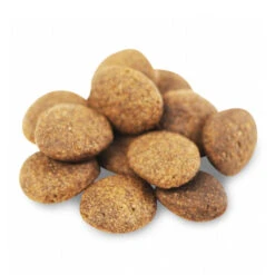 Fish4Dogs Finest Adult Complete - Witvis Grote Brok 13 Fish4Dogs Finest Adult Complete - Witvis Grote Brok -Hondenbenodigdheden fish4dogs finest adult complete witvis grote brok 160913 1000 none