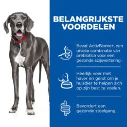 Hill's Science Plan Adult Perfect Digestion Large Breed Hondenvoer 13 Hill's Science Plan Adult Perfect Digestion Large Breed Hondenvoer -Hondenbenodigdheden hills science plan adult perfect digestion large breed hondenvoer 181291 0500 none