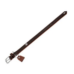 Hunter Halsband Cody -Hondenbenodigdheden hunter halsband cody 116502 0500 none