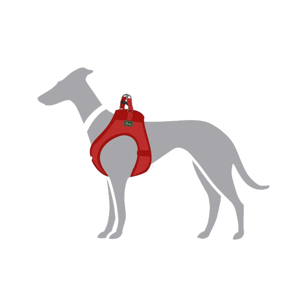 Hunter Harness Love 8 Hunter Harness Love - Afbeelding 6