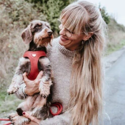 Hunter Harness Love 23 Hunter Harness Love -Hondenbenodigdheden hunter harness love 223529 0500 none