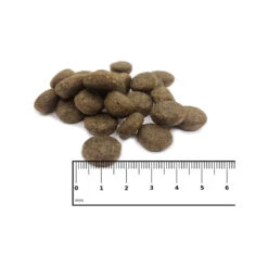 ICEPAW Scandic Duck 11 ICEPAW Scandic Duck -Hondenbenodigdheden icepaw scandic duck 221035 1000 none