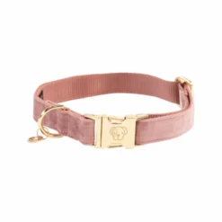 Kentucky Dogwear Velvet Hondenhalsband -Hondenbenodigdheden kentucky dogwear velvet oud roze s 28 40 cm 134936 0500 none