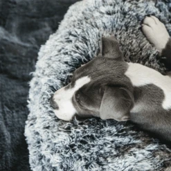 Kentucky Dogwear Comfort Donut Hondenmand 23 Kentucky Dogwear Comfort Donut Hondenmand -Hondenbenodigdheden kentucky dogwear comfort donut hondenmand 219723 0500 none