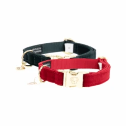 Kentucky Dogwear Corduroy Hondenhalsband -Hondenbenodigdheden kentucky dogwear corduroy hondenhalsband 219197 0500 none