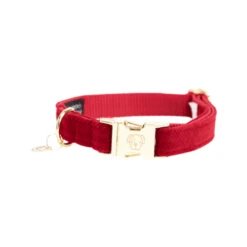 Kentucky Dogwear Corduroy Hondenhalsband -Hondenbenodigdheden kentucky dogwear corduroy hondenhalsband 219198 0500 none