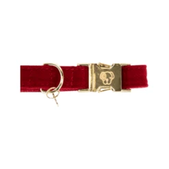 Kentucky Dogwear Corduroy Hondenhalsband -Hondenbenodigdheden kentucky dogwear corduroy hondenhalsband 219199 0500 none