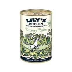 Lily's Kitchen Hondenvoer - Blik -Hondenbenodigdheden lilys kitchen hondenvoer blik 202370 0500 none