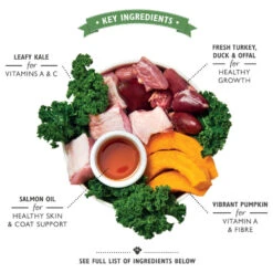 Lily's Kitchen Puppy - Blik - Kalkoen, Eend En Boerenkool 8 Lily's Kitchen Puppy - Blik - Kalkoen, Eend En Boerenkool -Hondenbenodigdheden lilys kitchen puppy kalkoen eend en boerenkool 202271 1000 none