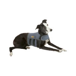 Petlife KarmaWrap Hond -Hondenbenodigdheden petlife karmawrap hond 154186 1000 none