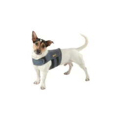 Petlife KarmaWrap Hond -Hondenbenodigdheden petlife karmawrap hond 154189 1000 none
