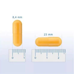 Pharmox Hond & Kat Groenlipmossel -Hondenbenodigdheden pharmox hond kat groenlipmossel 218962 0500 none