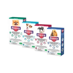 Ataxxa -Hondenbenodigdheden qHDDj8RGq0OyrQuWaFNULOZfRk2Hi6 metaQXRheHhhLU92ZXJ6aWNodHNmb3RvLUpwZy5qcGc