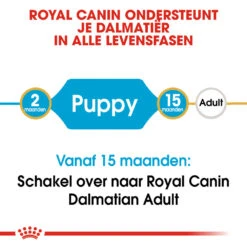 Royal Canin Dalmatian Junior - Hondenvoer 17 Royal Canin Dalmatian Junior - Hondenvoer -Hondenbenodigdheden royal canin dalmatian puppy hondenvoer 138568 1000 none