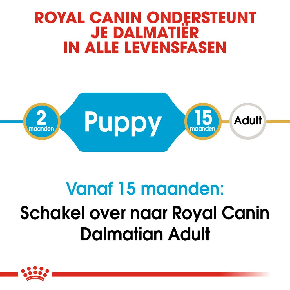 Royal Canin Dalmatian Junior - Hondenvoer 8 Royal Canin Dalmatian Junior - Hondenvoer - Afbeelding 6