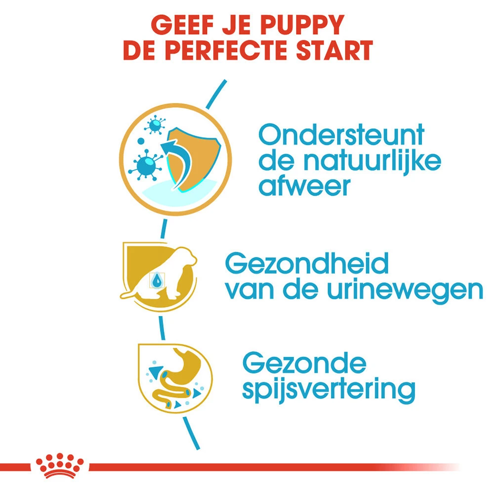 Royal Canin Dalmatian Junior - Hondenvoer 5 Royal Canin Dalmatian Junior - Hondenvoer - Afbeelding 3