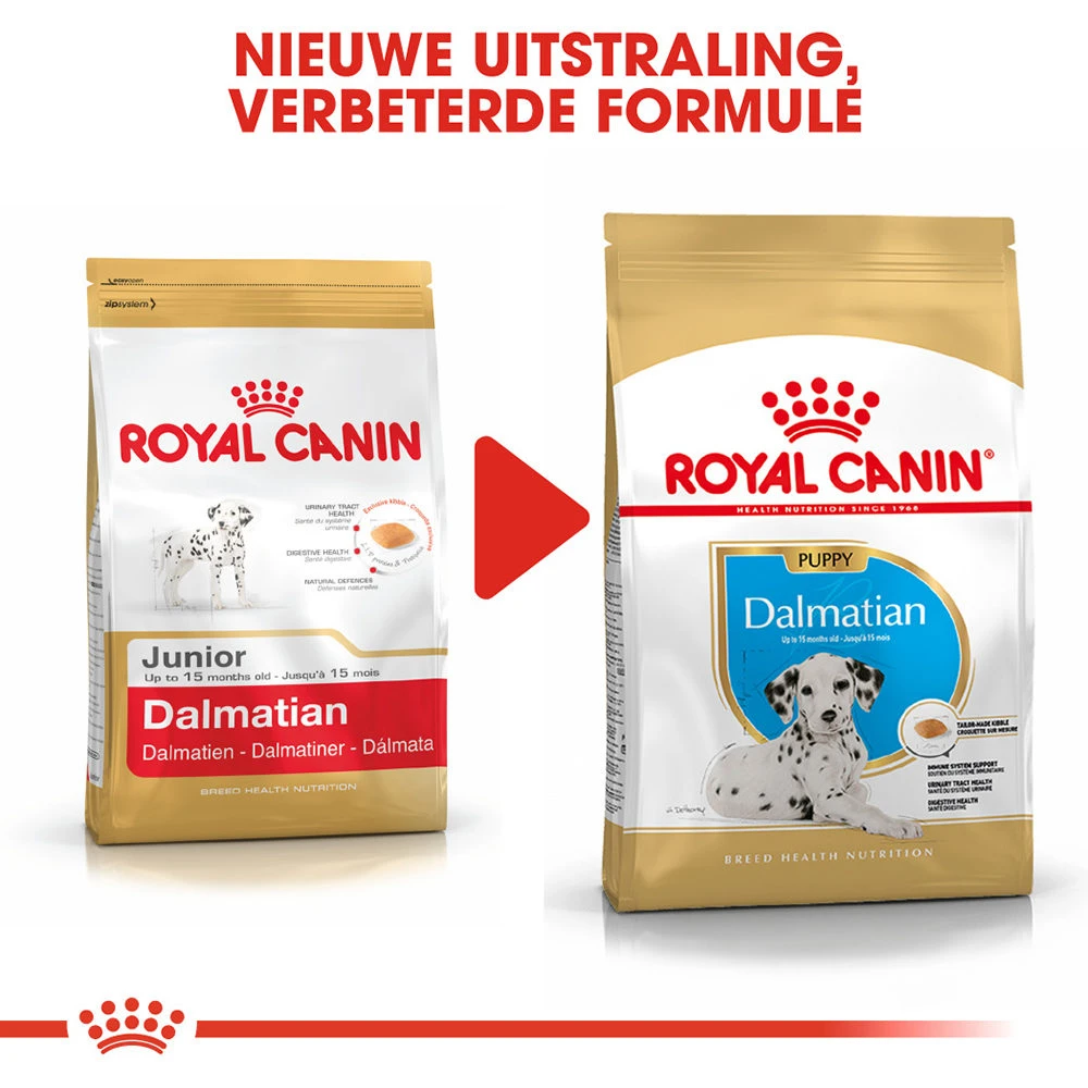 Royal Canin Dalmatian Junior - Hondenvoer 9 Royal Canin Dalmatian Junior - Hondenvoer - Afbeelding 7