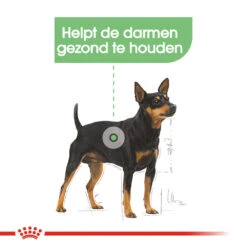 Royal Canin Digestive Care Wet - Hondenvoer 14 Royal Canin Digestive Care Wet - Hondenvoer -Hondenbenodigdheden royal canin digestive care wet hondenvoer 131498 1000 none