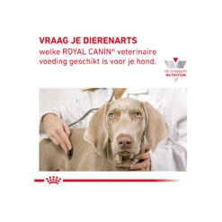Royal Canin Gastrointestinal Low Fat Kleine Hond -Hondenbenodigdheden royal canin gastrointestinal low fat kleine hond 224105 2000 none
