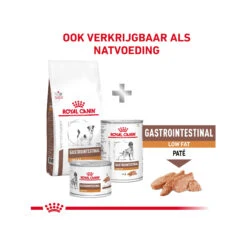 Royal Canin Gastrointestinal Low Fat Kleine Hond -Hondenbenodigdheden royal canin gastrointestinal low fat kleine hond 224106 2000 none