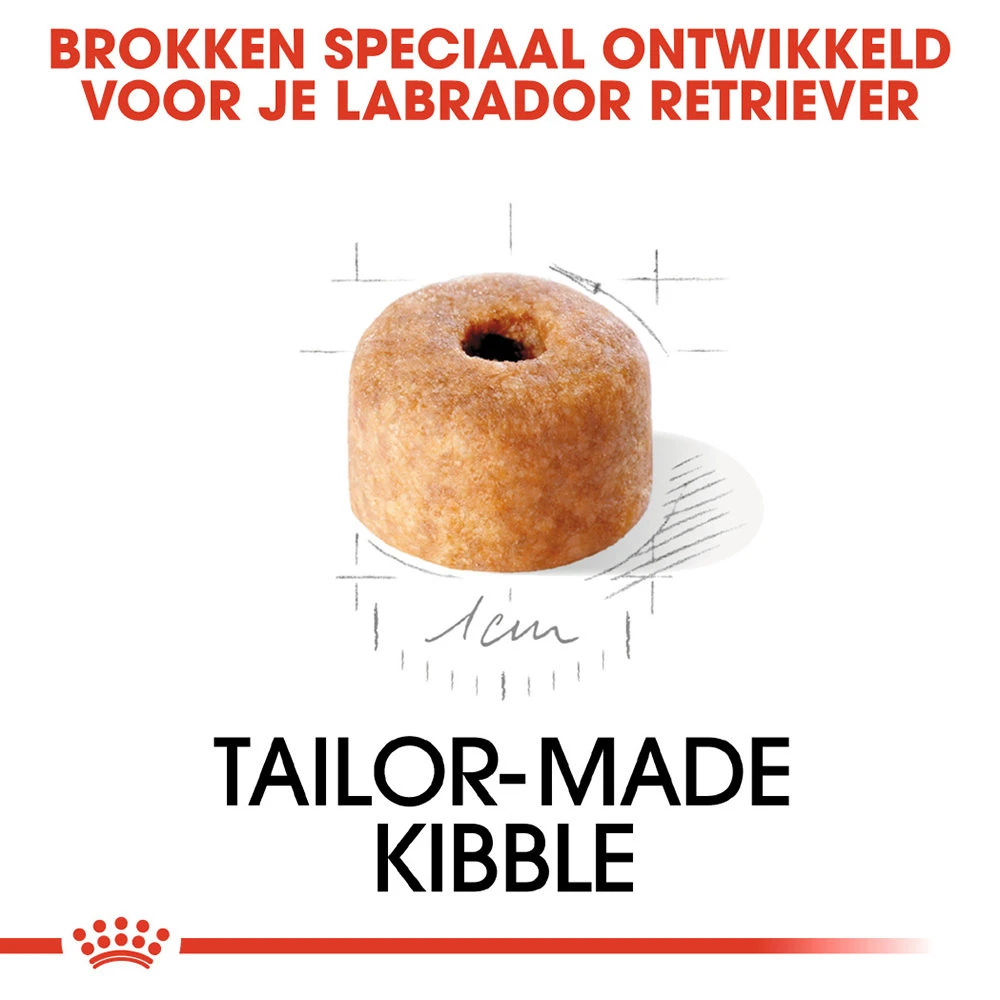 Royal Canin Labrador Retriever Puppy - Hondenvoer 7 Royal Canin Labrador Retriever Puppy - Hondenvoer - Afbeelding 5