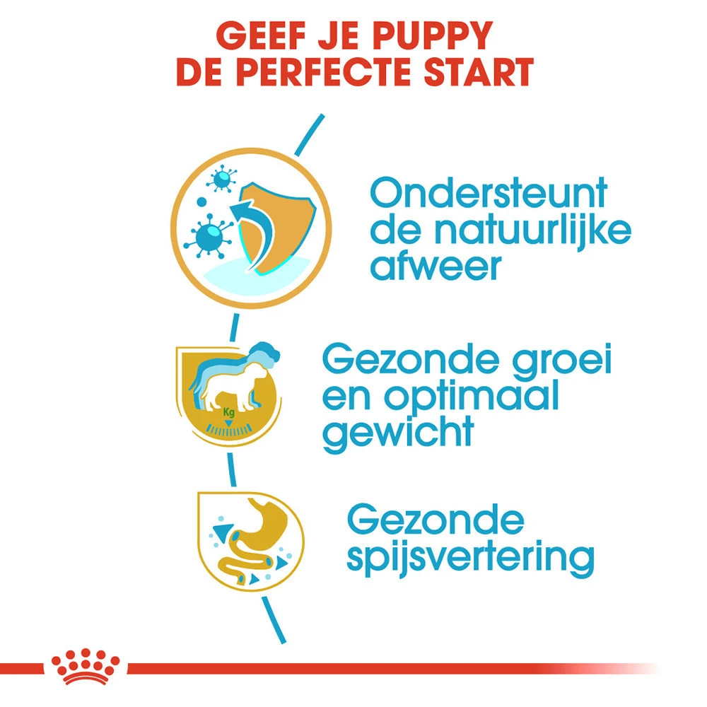 Royal Canin Labrador Retriever Puppy - Hondenvoer 6 Royal Canin Labrador Retriever Puppy - Hondenvoer - Afbeelding 4