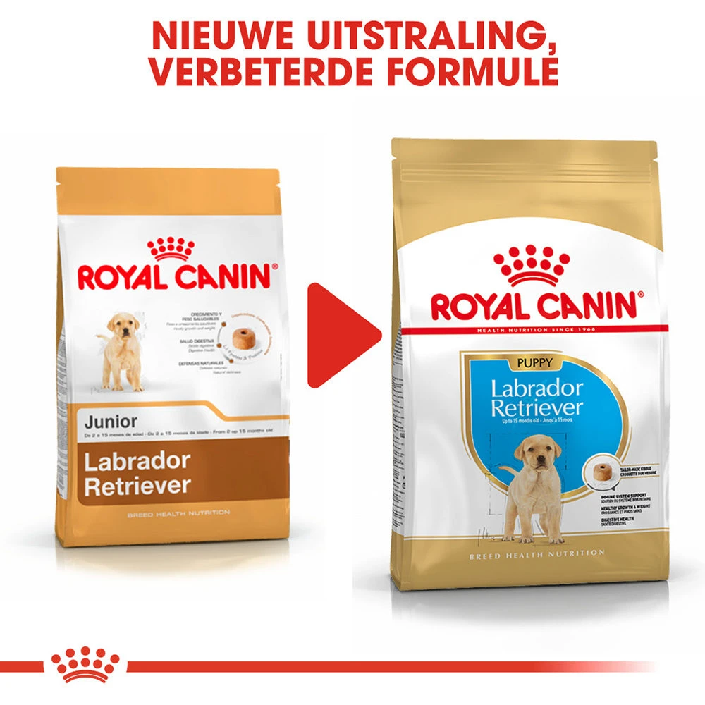 Royal Canin Labrador Retriever Puppy - Hondenvoer 10 Royal Canin Labrador Retriever Puppy - Hondenvoer - Afbeelding 8