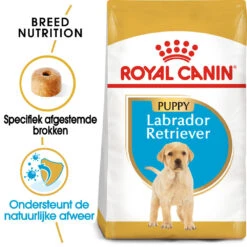 Royal Canin Labrador Retriever Puppy - Hondenvoer 15 Royal Canin Labrador Retriever Puppy - Hondenvoer -Hondenbenodigdheden royal canin labrador retriever puppy hondenvoer 140624 1000 none
