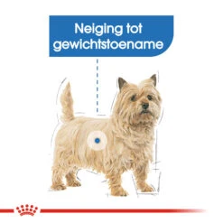 Royal Canin Light Weight Care Wet - Hondenvoer 15 Royal Canin Light Weight Care Wet - Hondenvoer -Hondenbenodigdheden royal canin light weight care wet hondenvoer 131435 1000 none