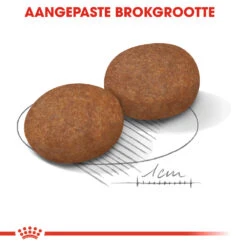 Royal Canin Medium Adult 7+ - Hondenvoer -Hondenbenodigdheden royal canin medium adult 7 hondenvoer 128501 1000 none