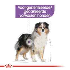 Royal Canin Medium Sterilised - Hondenvoer -Hondenbenodigdheden royal canin medium sterilised hondenvoer 132917 1000 none