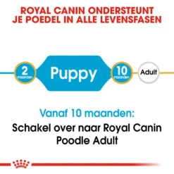Royal Canin Poodle Puppy - Hondenvoer -Hondenbenodigdheden royal canin poodle puppy hondenvoer 139732 1000 none