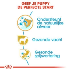 Royal Canin Poodle Puppy - Hondenvoer -Hondenbenodigdheden royal canin poodle puppy hondenvoer 139750 1000 none
