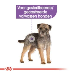 Royal Canin Sterilised Wet - Hondenvoer -Hondenbenodigdheden royal canin sterilised wet hondenvoer 131561 1000 none