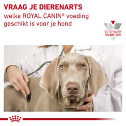 Royal Canin Urinary S/O Hond - Blik 17 Royal Canin Urinary S/O Hond - Blik -Hondenbenodigdheden royal canin urinary so hond 153688 1000 none