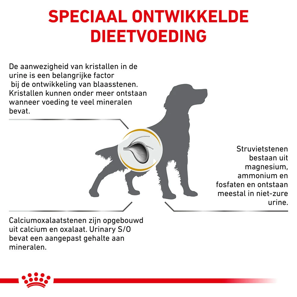 Royal Canin Urinary S/O Hond - Blik 8 Royal Canin Urinary S/O Hond - Blik - Afbeelding 6