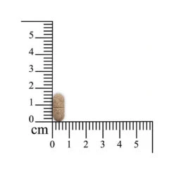 Sensipharm Pulmitranq - Hond -Hondenbenodigdheden sensipharm pulmitranq hond 174559 1000 none